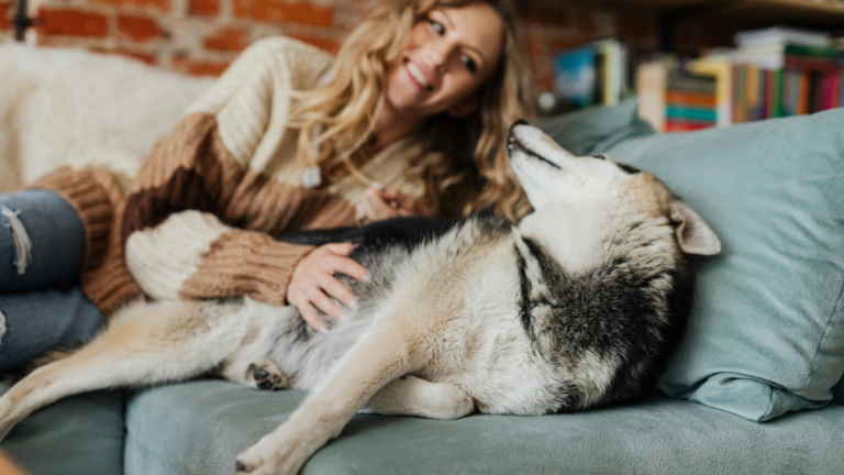 Grain Free Dog Food May Be Hurting Your Dog’s Heart — Here’s What to Do Now