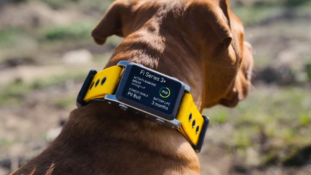 Smart pet technology overview featuring smart pet devices like pet wearables, AI-powered pet camera, smart pet feeder, pet tracking device, pet monitoring system, IoT for pets, smart water fountain for pets, pet camera with treat dispenser, and the best smart pet technology 2026 innovations for modern pet care